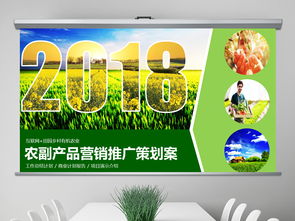 2018互聯網+農副產品市場推廣企業營銷策劃案模板