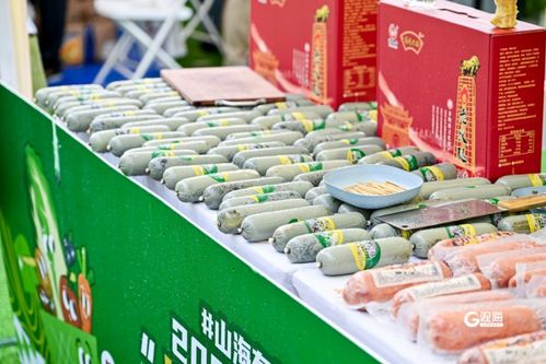 青島農品 以品牌之光，照亮鄉村振興之路——2024青島品牌日農副產品展銷盛況紀實